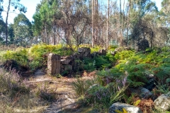 IMG_20160923_153131_HDR