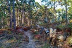 IMG_20160923_175005_HDR