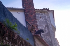 IMG_20160923_175539_HDR