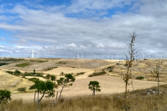 IMG_20160916_122245_HDR