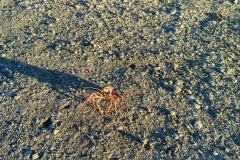 IMG_20160916_194008_HDR