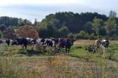 IMG_20160917_180826_HDR