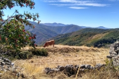 IMG_20160918_150442_HDR