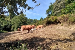 IMG_20160919_154553_HDR