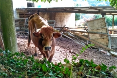 IMG_20160919_165828_HDR