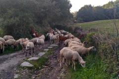 IMG_20160919_190022_HDR