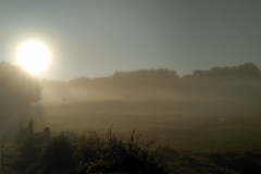 IMG_20160920_092020_HDR