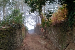 IMG_20160920_092633_HDR