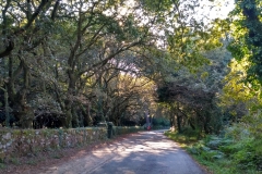 IMG_20160920_183228_HDR