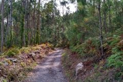 IMG_20160921_162833_HDR