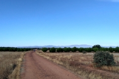 IMG_20160918_094831_HDR