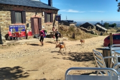 IMG_20160918_142258_HDR